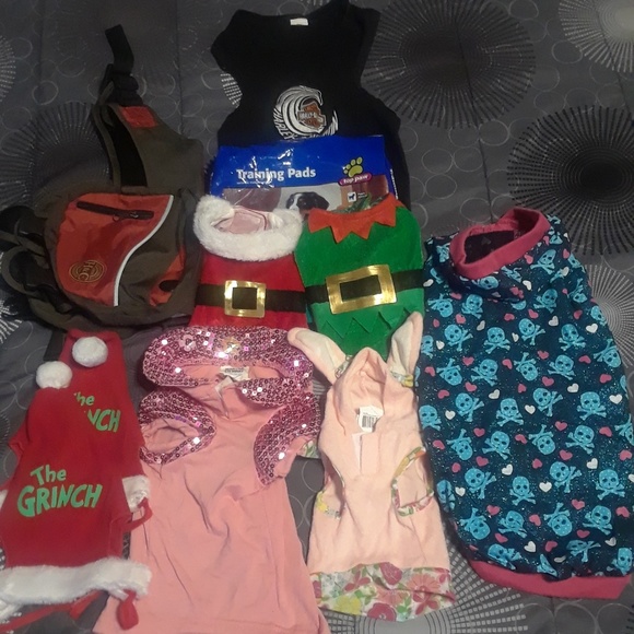 Other - Lot of dog outfits and accessories